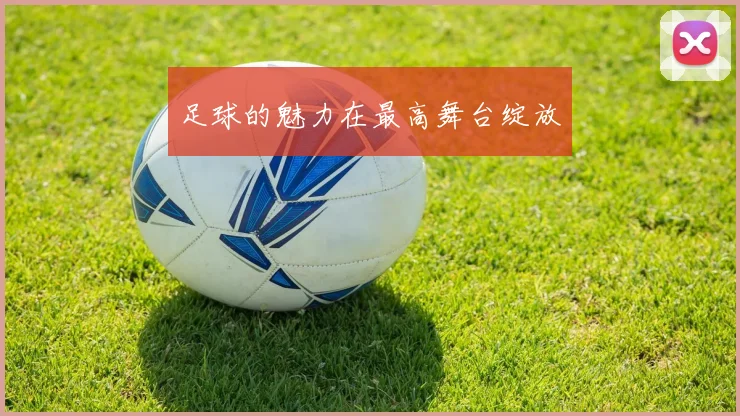 足球的魅力在最高舞台绽放