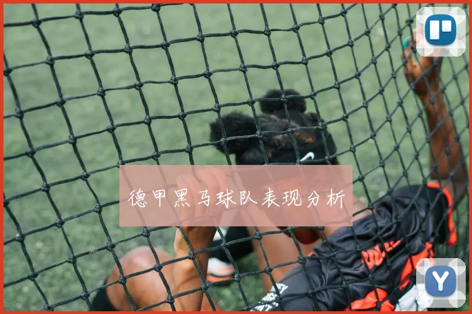 德甲黑马球队表现分析