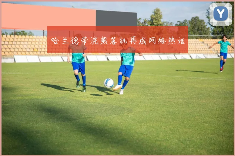 哈兰德带浣熊落机再成网络热话