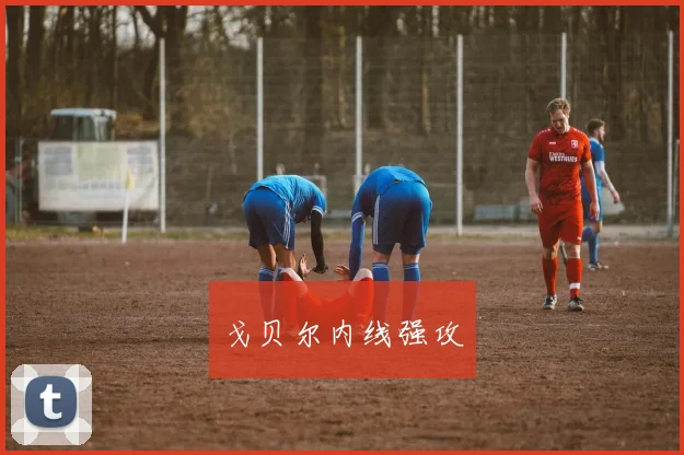 戈贝尔内线强攻